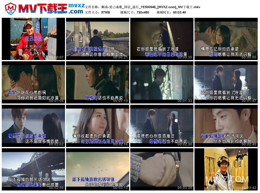 顺成-爱己成歌_国语_流行_YE500946